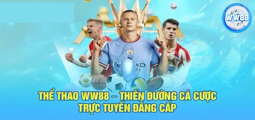 Những lý do các bet thủ say đắm Thể Thao WW88